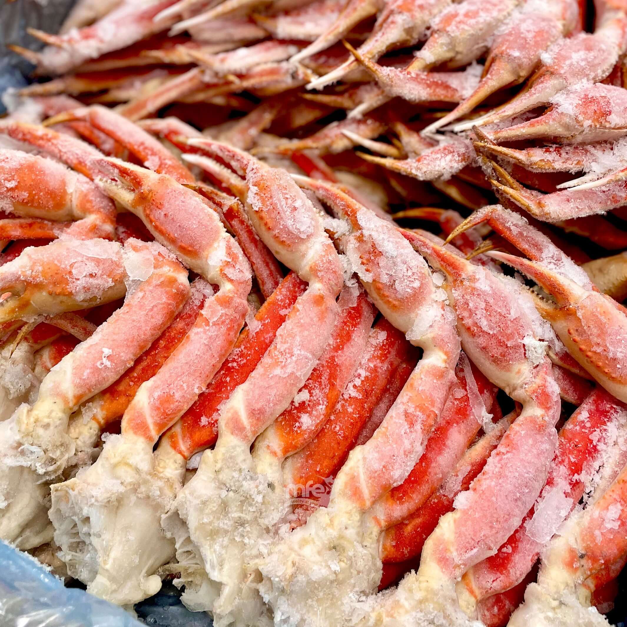 crab-snow-crab-clusters-wild-caught-canada-marine-foods-express-ltd