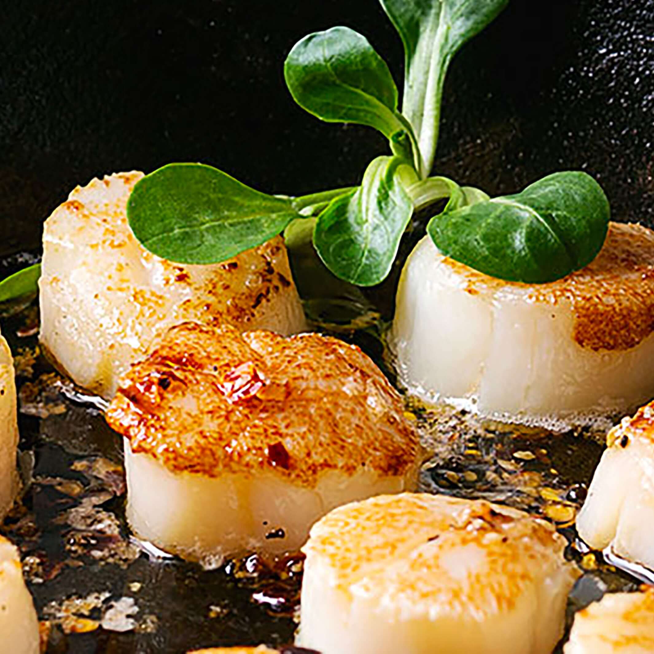 SCALLOPS (10/20) JAPAN (5 lbs.) Marine Foods Express, Ltd