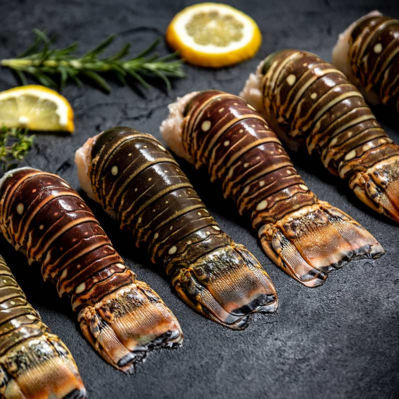 canadian cold water lobster tails