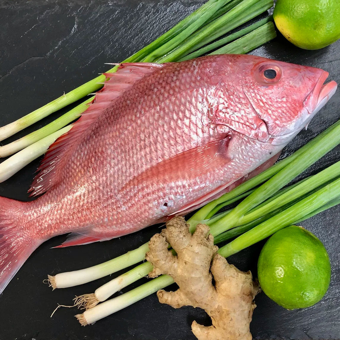 FISH-RED SNAPPER, WHOLE FISH (10 lb. case)