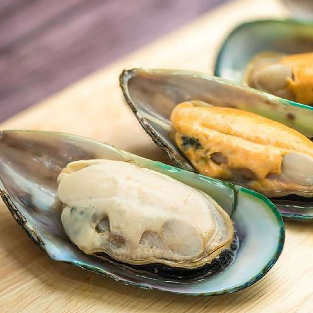 GREENLIP MUSSEL GRANDE MEDIO SHELL - 2 LBS - NUEVA ZELANDA