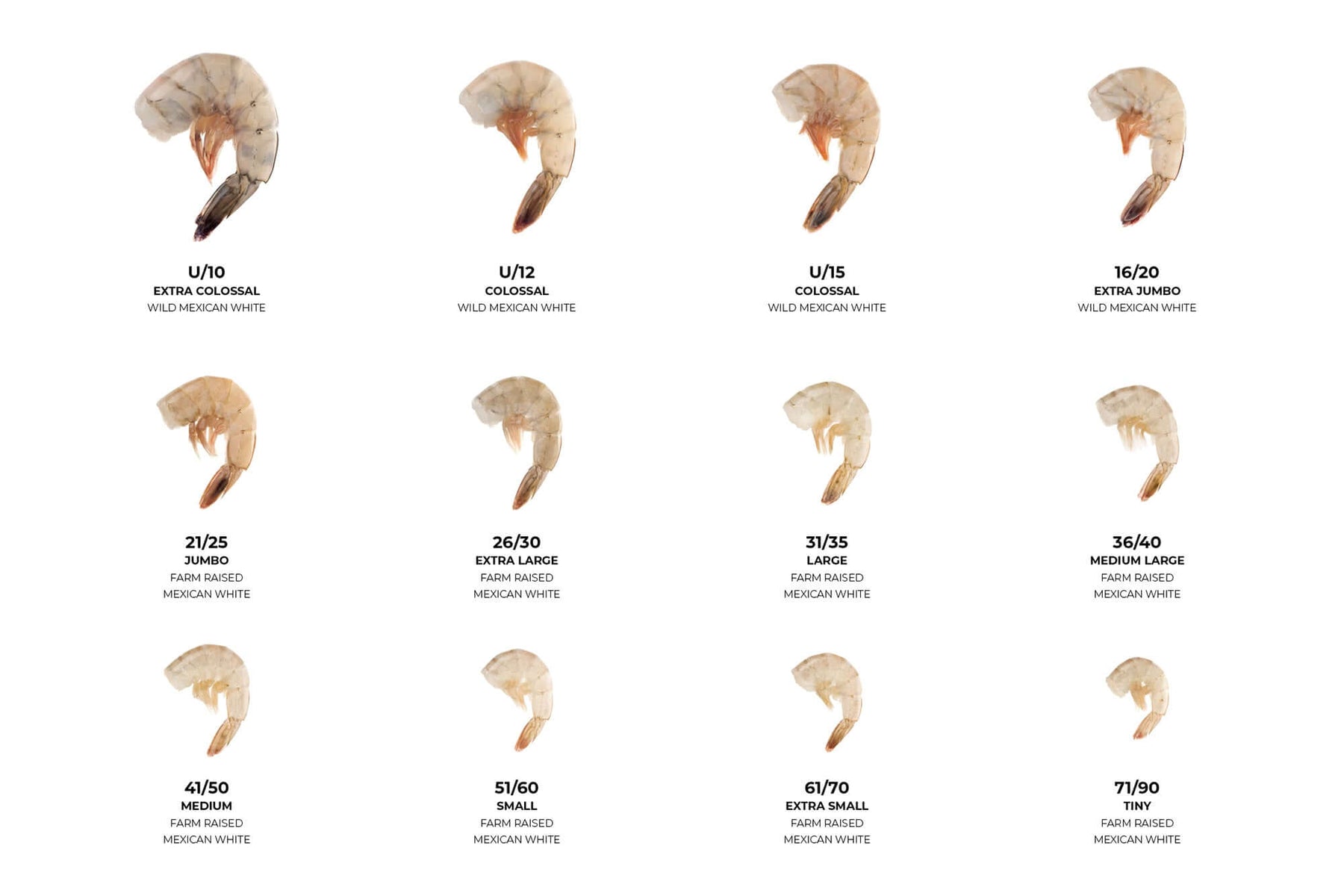 Tail Size SHRIMP - PEELED & DEVEINED, TAIL-OFF, 10 LB. CASE