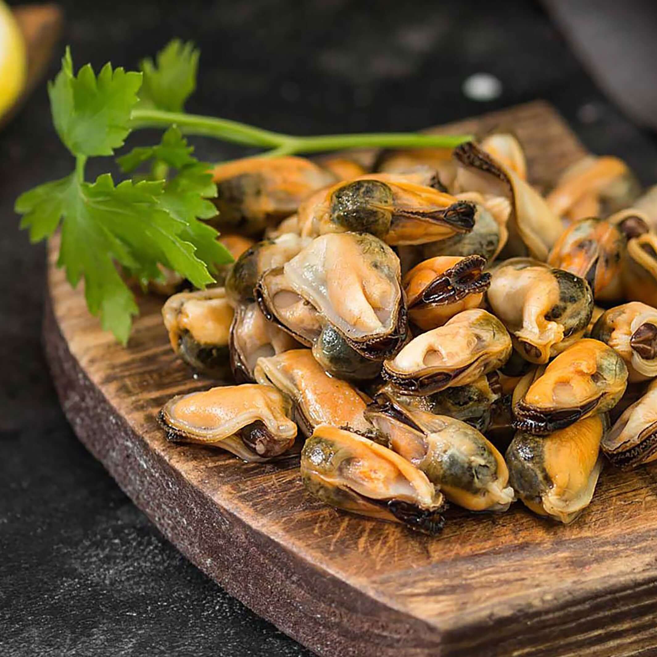 Green Lipped Mussel